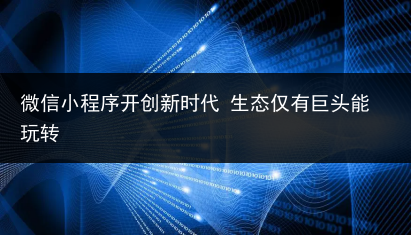 微信小程序开创新时代 生态仅有巨头能玩转