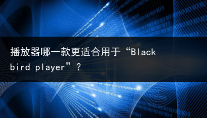 播放器哪一款更适合用于“Black bird player”?